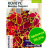 Колеус Визард Скарлет [Семена алтая] купить с доставкой - Колеус Визард Скарлет [Семена алтая] купить с доставкой