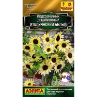 Подсолнечник декоративный Итальянский белый [Аэлита]