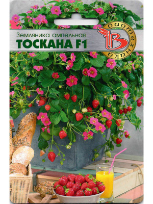 Земляника Тоскана [Биотехника] купить с доставкой Уникальный гибрид земляники! Совмещает в себе изумительный вкус, чарующий аромат, высокую урожайность и невероятную декоративность. Тоскана обязательно станет вашей любимицей и объектом удивления для соседей.