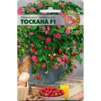 Земляника Тоскана [Биотехника]
