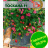 Земляника Тоскана [Биотехника] купить с доставкой - Земляника Тоскана [Биотехника] купить с доставкой