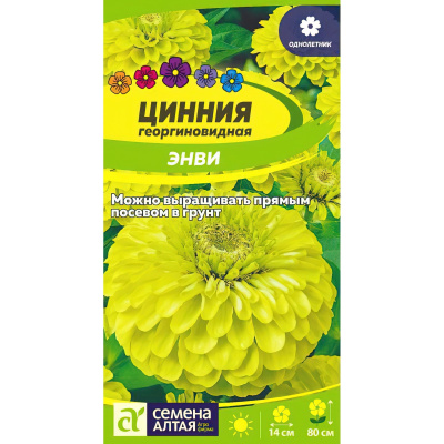 Цинния Энви георгинов. [Семена алтая] купить с доставкой удивительной красоты цветущее растение, способное преобразить пространство сада