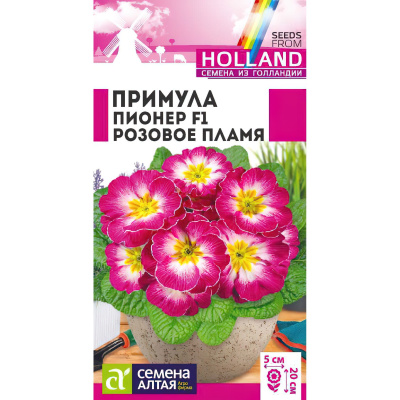 Примула Пионер Розовое пламя [Семена алтая] купить с доставкой компактный кустик с сочной зелёной морщинистой листвой и шапкой из ярких пламенно-розовых крупных цветков