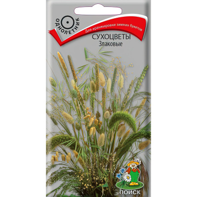 Сухоцветы Злаковые [Поиск] купить с доставкой интересное и необычное дополнение к любой клумбе или приусадебному участку