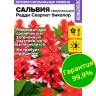 Сальвия Редди Скарлет биколор сверкающая [Семена алтая]