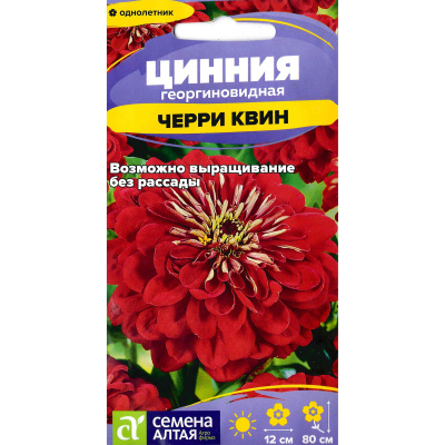 Цинния Черри Квин георгиноцветковая [Семена алтая] купить с доставкой изумительной красоты однолетник с безупречными по форме цветками