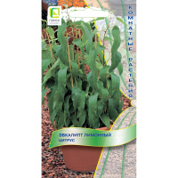 Эвкалипт лимонный Цитрус [Поиск]