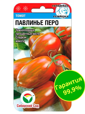 Томат Павлинье перо [Сибирский сад] купить с доставкой Экзотические темноплодные помидоры, собранные в пёстрые трёхцветные кисти, не разочаруют любителей выращивать диковинки.