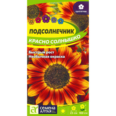 Подсолнечник Красно солнышко [Семена алтая] купить с доставкой Это лучшая декоративная разновидность подсолнуха, которая выращивается ради красивых, роскошных цветков, способных стать красочным акцентом любого сада.