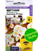 Бегония Коктейль Ром вечноцветущая [Семена алтая]