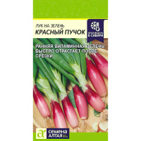 Лук на Зелень Красный Пучок [Семена алтая]