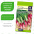 Лук на Зелень Красный Пучок [Семена алтая] купить с доставкой - Лук на Зелень Красный Пучок [Семена алтая] купить с доставкой