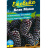 Ежевика Блэк Мама крупноплодная [Семена алтая] купить с доставкой - Ежевика Блэк Мама крупноплодная [Семена алтая] купить с доставкой