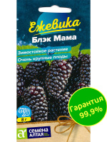 Ежевика Блэк Мама крупноплодная [Семена алтая]