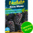 Ежевика Блэк Мама крупноплодная [Семена алтая] купить с доставкой - Ежевика Блэк Мама крупноплодная [Семена алтая] купить с доставкой