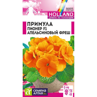 Примула Пионер Апельсиновый фреш [Семена алтая] купить с доставкой суперранние первоцветы оригинальных оттенков
