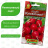 Редис Всесезонный [Аэлита] купить с доставкой - Редис Всесезонный [Аэлита] купить с доставкой