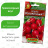 Редис Всесезонный [Аэлита] купить с доставкой - Редис Всесезонный [Аэлита] купить с доставкой