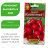 Редис Всесезонный [Аэлита] купить с доставкой - Редис Всесезонный [Аэлита] купить с доставкой