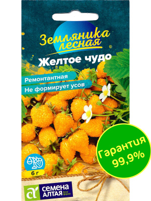 Земляника Желтое чудо ремонтантная [Семена алтая] купить с доставкой ​Прекрасное, любимое всеми плодовое растение, отличающиеся невероятными вкусовыми качествами - земляника Желтое чудо от Семян Алтая. Ремонтантный сорт, не формирует усов, не вызывает аллергию, неприхотлив в уходе, обладает высокой устойчивостью к жаре и засухе.