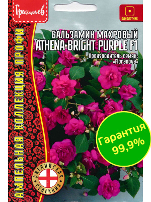 Бальзамин Уоллера Athena Bright Purple [Семена редких растений] купить с доставкой Бальзамин Уоллера Athena Bright Purple F1 – это растение, способное превратить любой уголок сада или балкона в настоящую цветочную сказку. Его насыщенные фиолетовые цветки излучают яркость и тепло, словно драгоценные камни, вплетенные в зелёный ковер из глянцевых листьев. Компактные кустики создают впечатление маленьких цветущих облаков, радующих глаз с первых теплых дней до поздней осени.