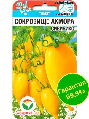 Томат Сокровище Акмора Сибирико [Сибирский сад] купить с доставкой Российские огородники полюбили сорт английской селекции за великолепные вкусовые качества, красивый вид плодов и устойчивость растений к природным капризам.