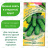 Огурец Изумрудная Семейка [Гавриш] купить с доставкой - Огурец Изумрудная Семейка [Гавриш] купить с доставкой