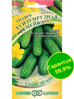 Огурец Изумрудная Семейка [Гавриш] купить с доставкой Огурец «Изумрудная Семейка» F1 - один из лучших суперурожайных сортов сочных, хрустящих, скороспелых корнишонов. Он отличается обильным плодоношением, неприхотливостью и уникальным букетным заложением завязей. Благодаря скороспелости первый урожай вкусных и ароматных зеленцев можно собрать уже через полтора месяца!