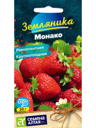 Земляника Монако ремонтантная крупноплодная [Семена алтая]