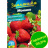 Земляника Монако ремонтантная крупноплодная [Семена алтая] купить с доставкой - Земляника Монако ремонтантная крупноплодная [Семена алтая] купить с доставкой