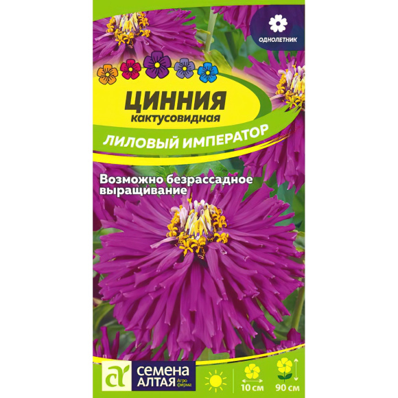 Цинния Лиловый Император кактусовидная [Семена алтая] купить с доставкой