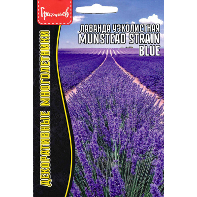 Лаванда Munstead strain blue узколистная [Семена редких растений] купить с доставкой ​Это воплощение нежности и утонченности, которое вносит в любой сад очарование южных ландшафтов. Ее изящные соцветия, окрашенные в сиреневые и голубоватые тона, излучают сладковато-пряный аромат, наполняющий пространство атмосферой уюта и спокойствия. Это растение давно завоевало популярность благодаря своей декоративности и множеству полезных свойств, включая использование в косметологии, кулинарии и ароматерапии.