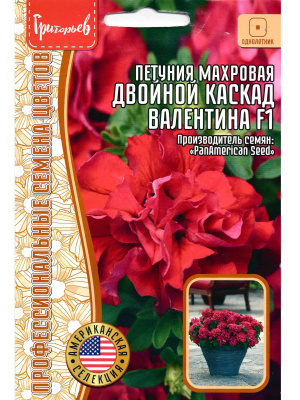 Петуния Двойной Каскад Валентина [Семена редких растений] купить с доставкой ​Петуния Двойной Каскад Валентина F1 – это роскошное растение, привлекающее внимание своими крупными, махровыми цветками насыщенного малиново-розового оттенка. Их волнистые лепестки создают эффект объёмных воздушных облаков, которые гармонично сочетаются с яркой зеленью листвы. Этот сорт наполняет пространство яркими красками и элегантностью, создавая атмосферу уюта и гармонии в саду или на балконе.