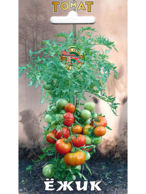 Томат Ежик [Биотехника] купить с доставкой 