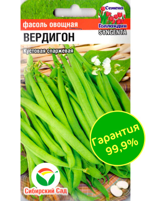 Фасоль Вердигон [Сибирский сад] купить с доставкой Фасоль Вердигон – классическая спаржевая фасоль, отличается высокой завязываемостью плодов с великолепными вкусовыми качествами. Компактные кустики легко выращивать даже на небольшом садовом участке, а неприхотливость к условиям выращивания станет приятным бонусом.