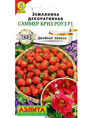 Земляника Саммер Бриз Роуз [Аэлита] купить с доставкой У этой земляники не только превосходный вкус, но и декоративный вид. Благодаря своим крупным цветам необычной окраски, она будет украшать ваш огород или балкон до самых морозов.