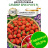 Земляника Саммер Бриз Роуз [Аэлита] купить с доставкой - Земляника Саммер Бриз Роуз [Аэлита] купить с доставкой