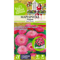 Маргаритка Мария [Семена алтая]