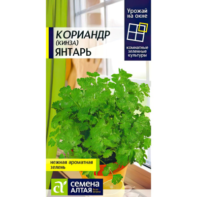 Кориандр Янтарь [Семена алтая] купить с доставкой Благодаря особому, насыщенному запаху эта пряная зелень, известная также как «кинза», нашла широкое использование в кулинарии.