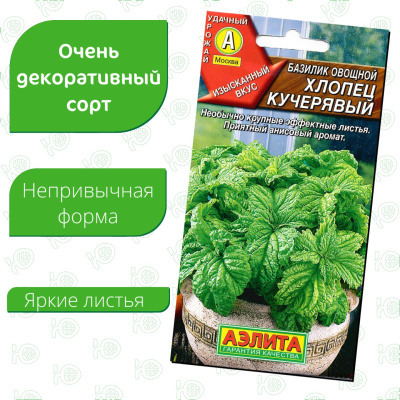 Базилик Хлопец кучерявый [Аэлита] купить с доставкой Он привлекает внимание роскошными гофрированными листиками и ярким, насыщенным ароматом с оттенками аниса.