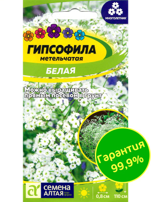 Гипсофила Белая [Семена алтая] купить с доставкой Гипсофила Белая метельчатая - роскошное и эффектное растение, напоминающее пышное облако. Сложно не влюбиться в круглые ажурные кустики, к тому же абсолютно неприхотливые. Белая гипсофила идеально подходит для обрамления бордюров и рабаток, придания особой изысканности и воздушности клумбам и цветникам.